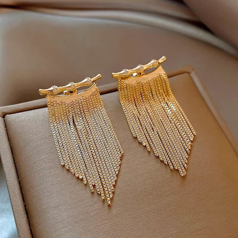 Alloy Electroplated Women's Silver Needle Long Fringe Earrings Earrings - FASHIONKULTUR