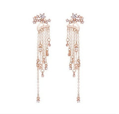 Shining Star Tassel Earrings Back Hanging Exquisite Earrings